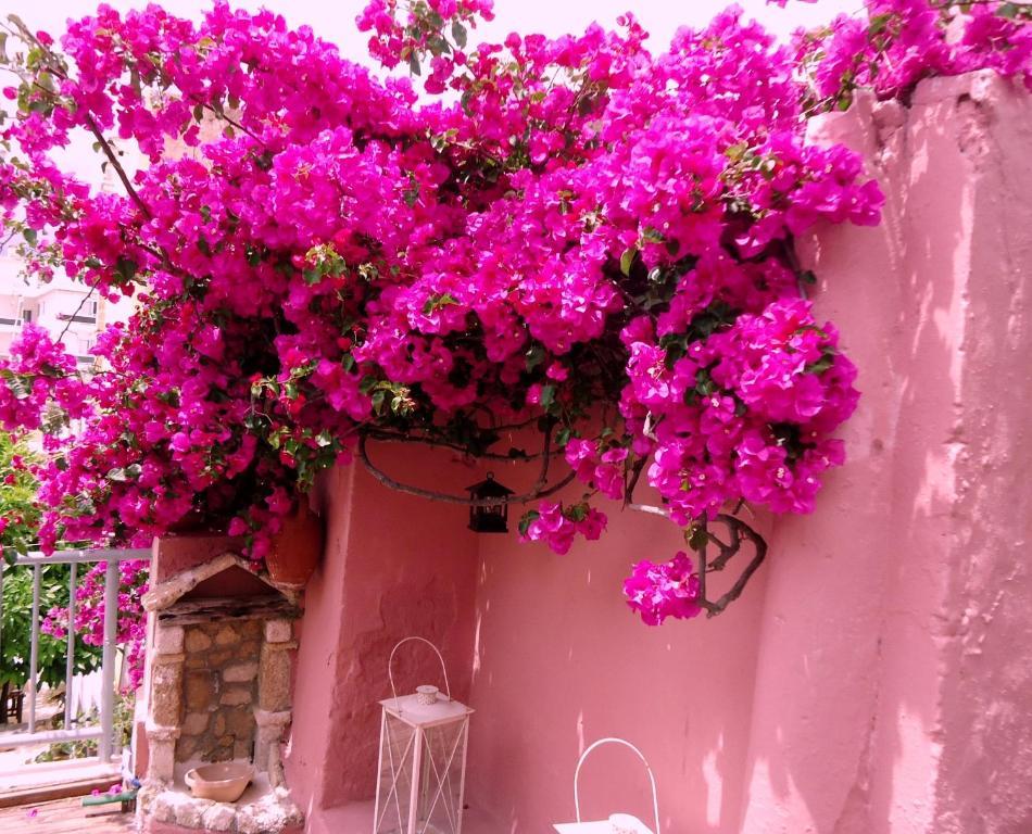 Casa Antica Lägenhet Rhodes City